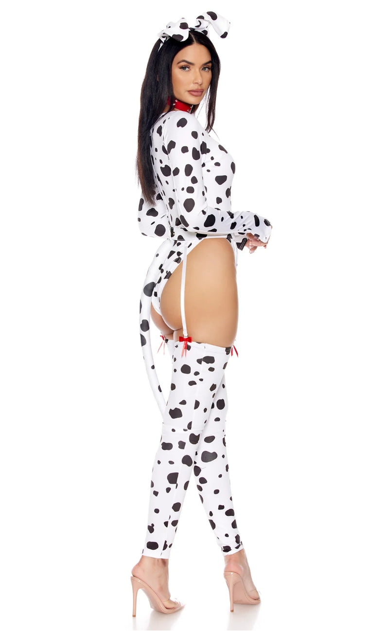 Dalmatian Costume