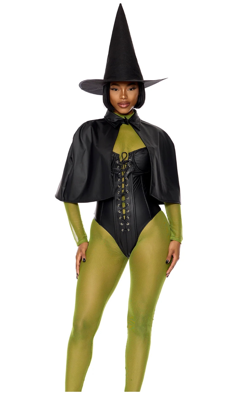 Wicked Witch Costume