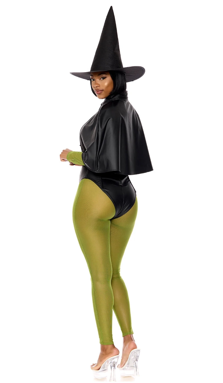 Wicked Witch Costume