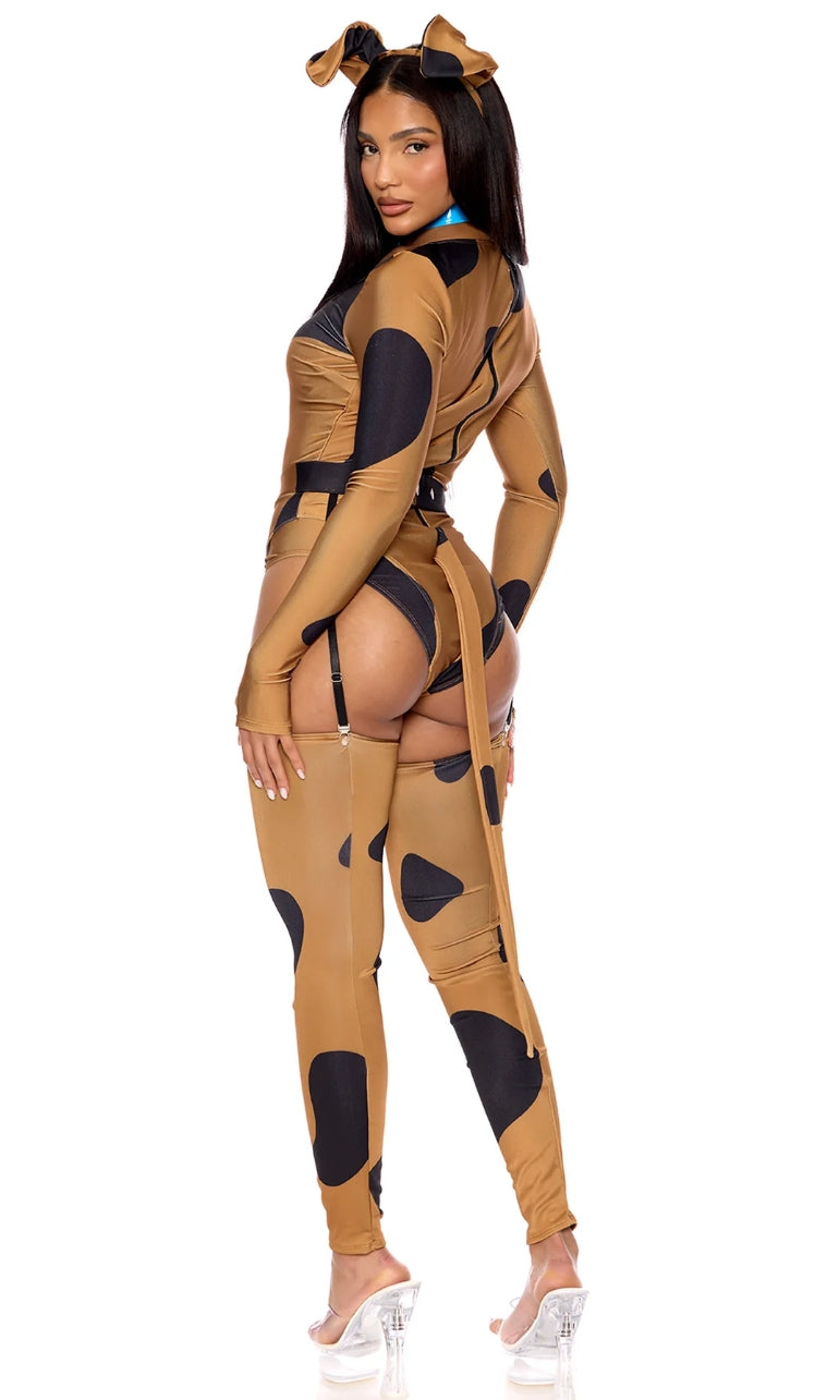 Scooby Snacks Costume